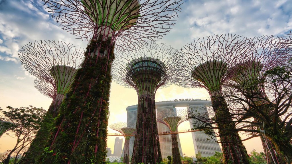 supertrees-singapore