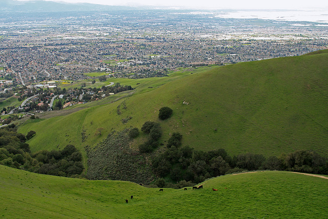 Silicon Valley