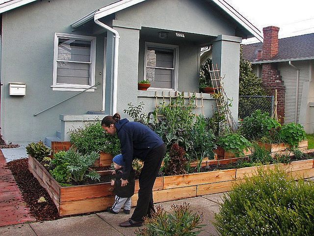 Front Yards Minus The Grass Per Square Mile