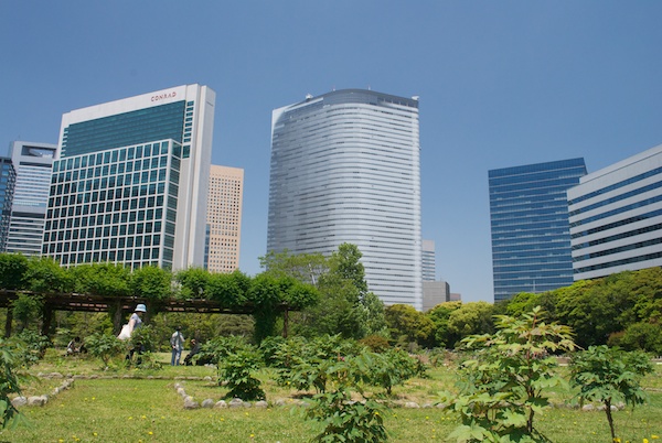 Hamarikyu Gardens